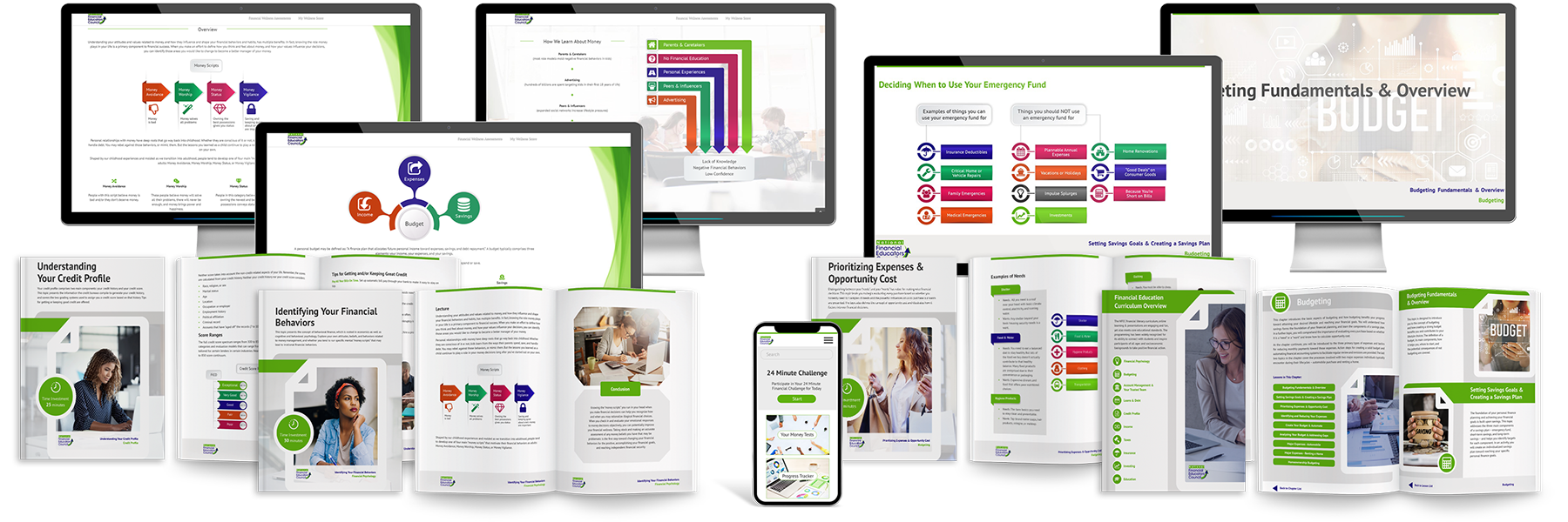 NFEC Financial Literacy Curriculum Master Display