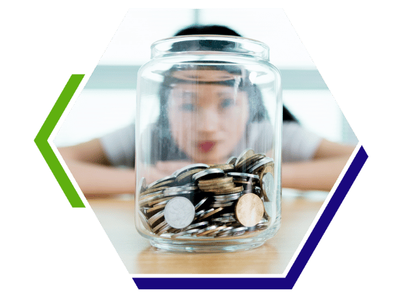 Pillar 1 Schools & Legislation Hex